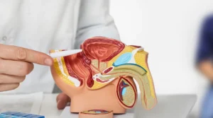 فتق الخصية هل يسبب العقم