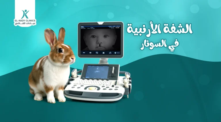 هل تظهر الشفة الأرنبية في السونار؟