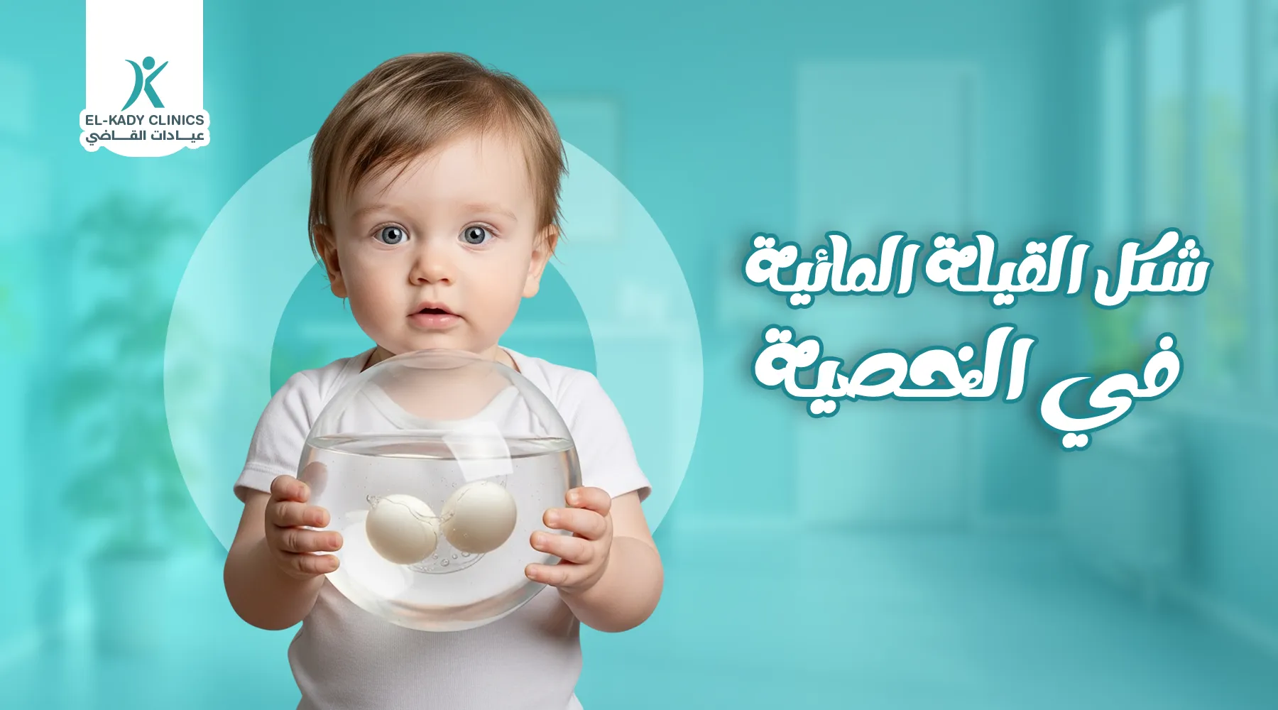 شكل القيلة المائية في الخصية عند الرضع