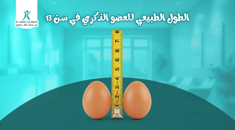 الطول الطبيعي للعضو الذكري في سن 13