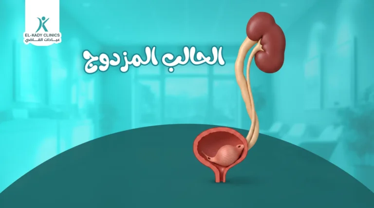 ما هي الكلى المزدوجة؟ وما الحالب المزدوج؟