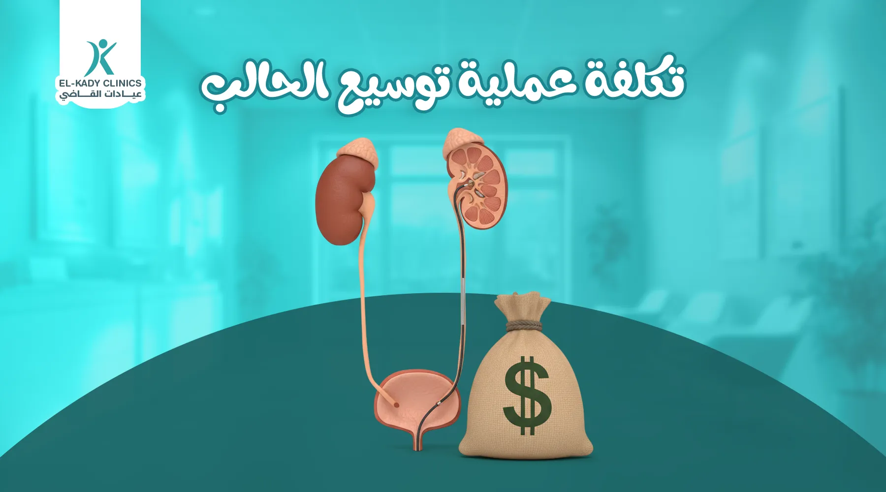 تكلفة عملية توسيع الحالب للأطفال في مصر