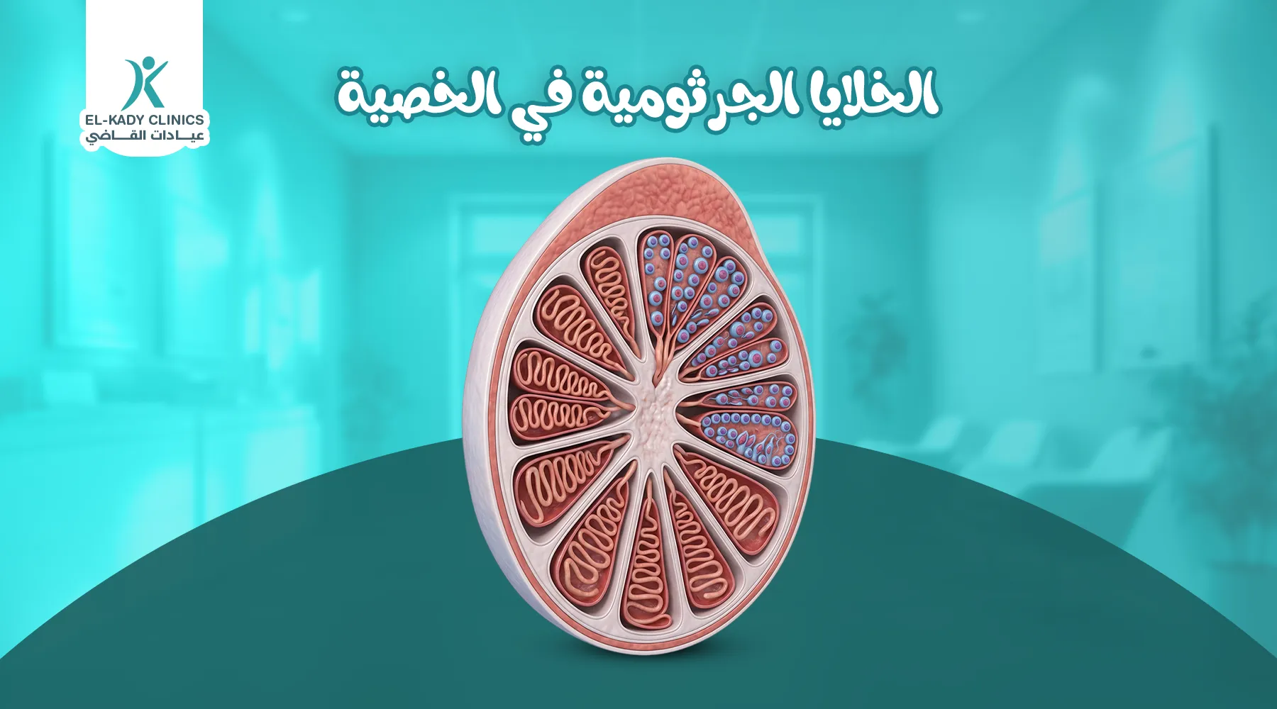 ورم الخلايا الجرثومية في الخصية عند الأطفال